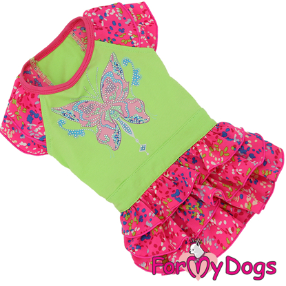 Afbeeldingen van ForMyDogs   TDSS0122-2025 F